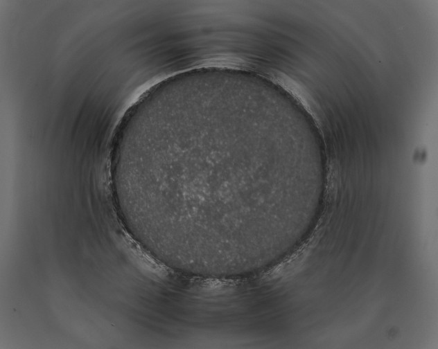 X0000090410923200708031039