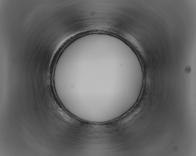 X0000090410924200708031039