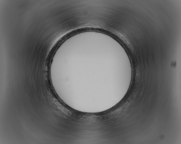 X0000090410926200708031039