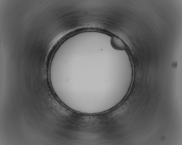 X0000090410927200708031039