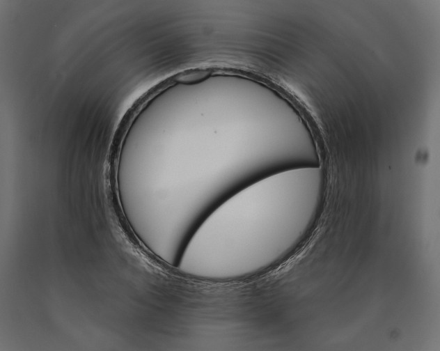 X0000090410928200708031039