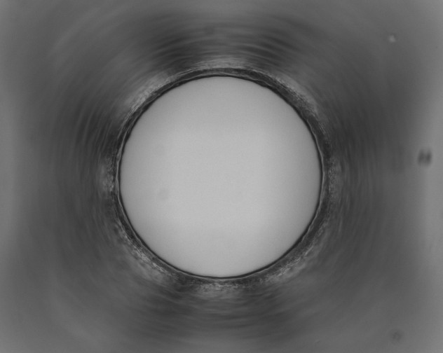 X0000090410929200708031039