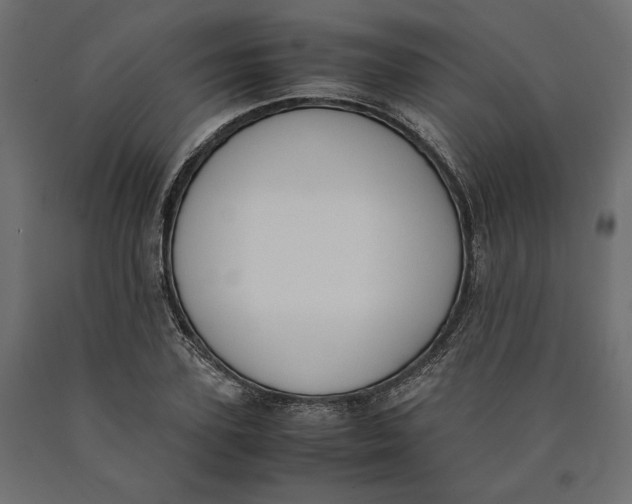 X0000090410931200708031039