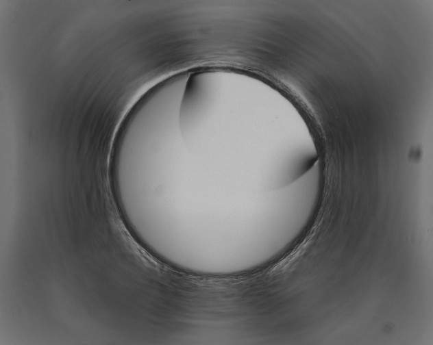 X0000090410932200708031039
