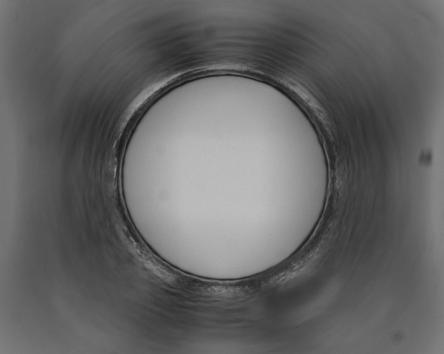 X0000090410933200708031039