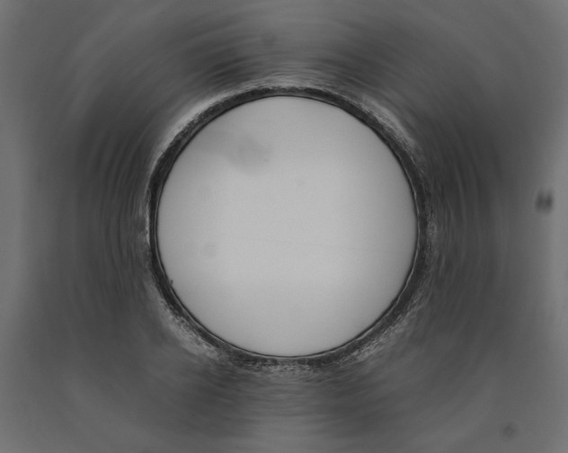 X0000090410934200708031039