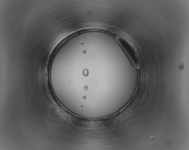 X0000090410936200708031039