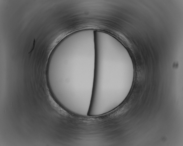 X0000090410938200708031039