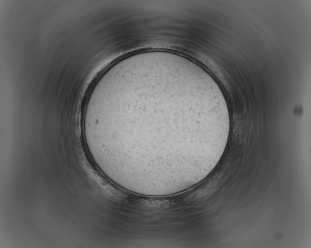 X0000090410939200708031039