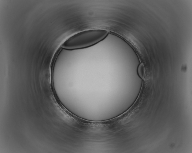 X0000090410940200708031039