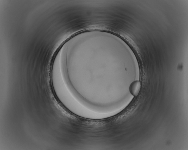 X0000090410941200708031039