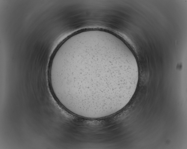 X0000090410943200708031039