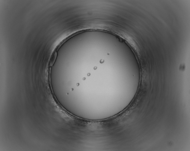 X0000090410944200708031039
