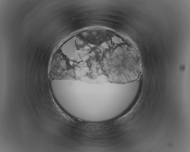 X0000090410945200708031039