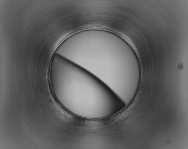 X0000090410946200708031039