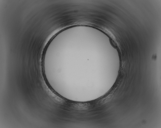 X0000090410947200708031039