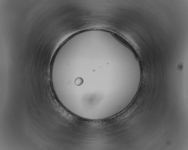 X0000090410948200708031039