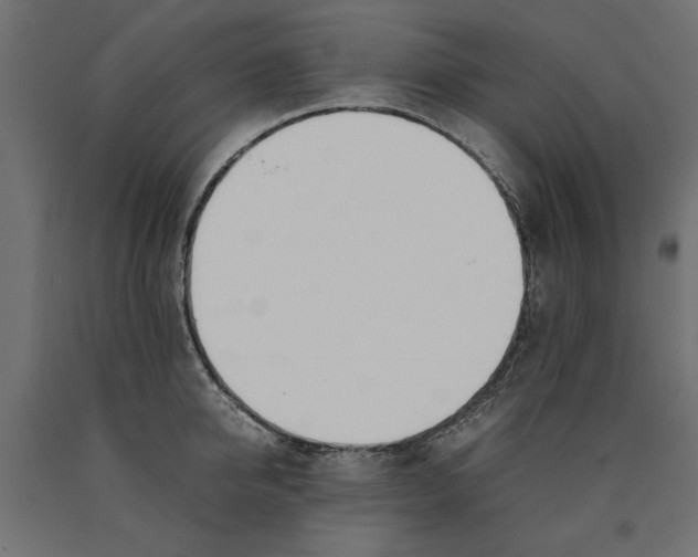 X0000090410950200708031039