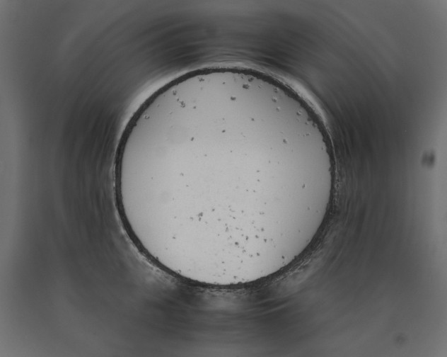X0000090410951200708031039