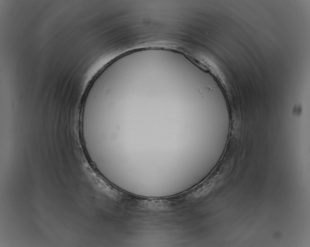 X0000090410952200708031039