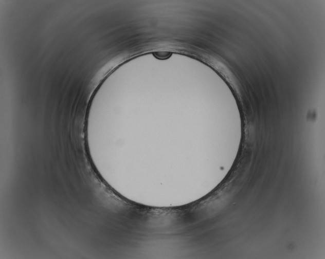 X0000090410954200708031039