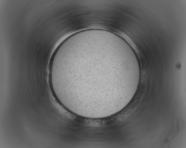 X0000090410955200708031039