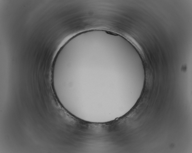 X0000090410956200708031039