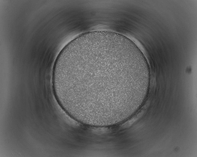 X0000090410957200708031039