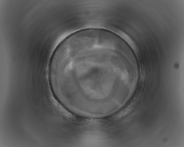 X0000090410958200708031039