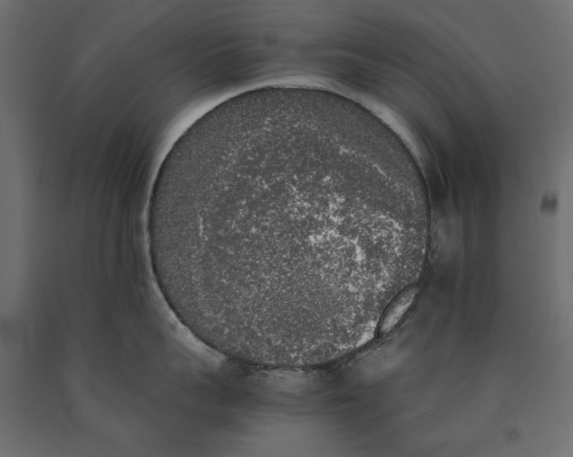 X0000090410959200708031039