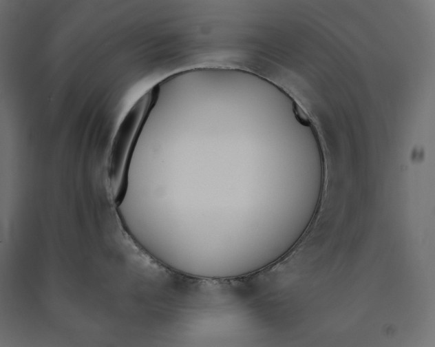 X0000090410960200708031039