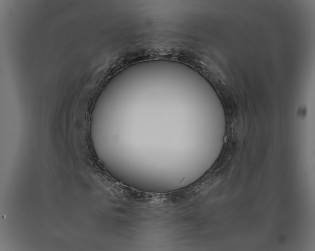 X0000090410961200708031039