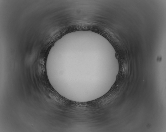 X0000090410964200708031039