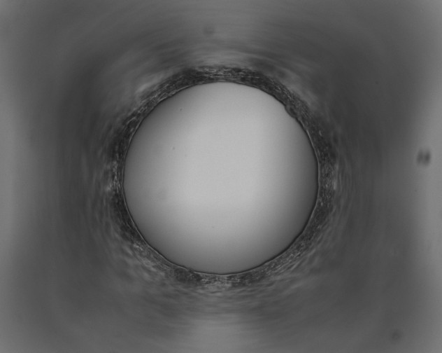 X0000090410965200708031039