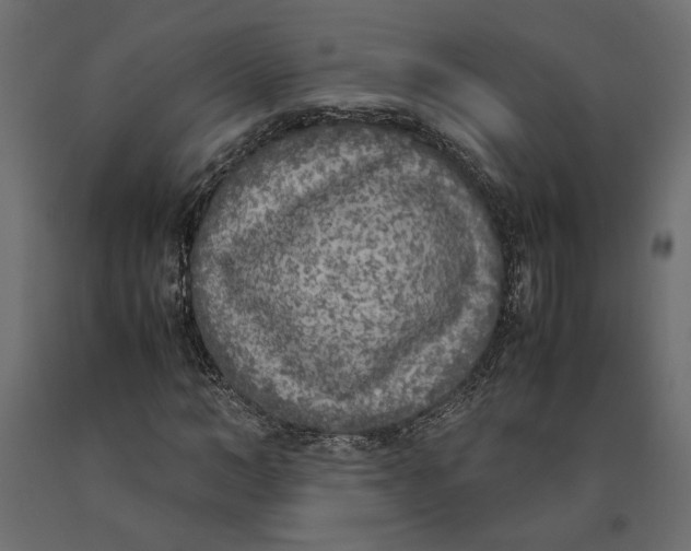 X0000090410966200708031039