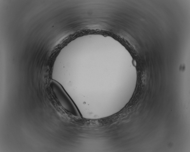 X0000090410968200708031039