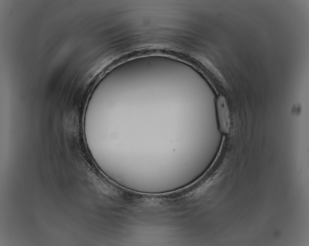X0000090410969200708031039