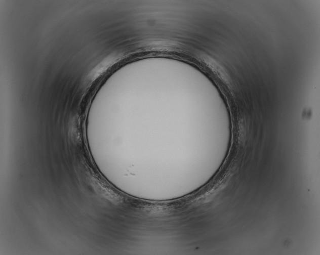 X0000090410970200708031039