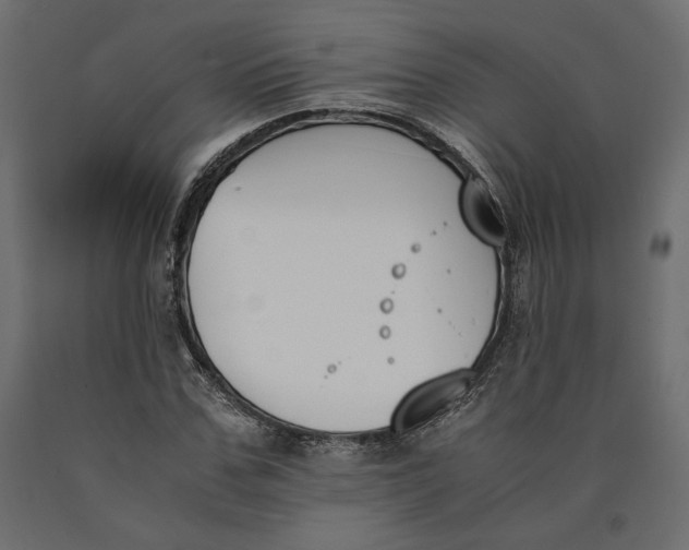 X0000090410971200708031038