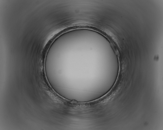 X0000090410973200708031038