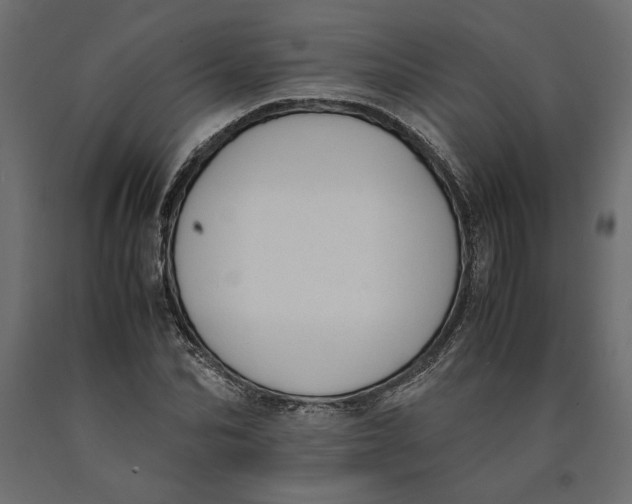 X0000090410974200708031038