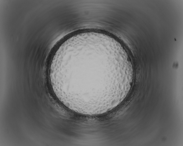 X0000090410975200708031038