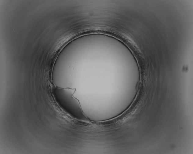 X0000090410977200708031038