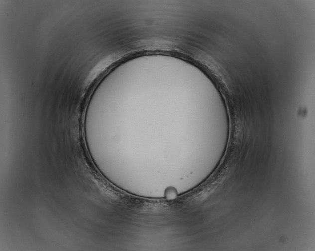 X0000090410978200708031038