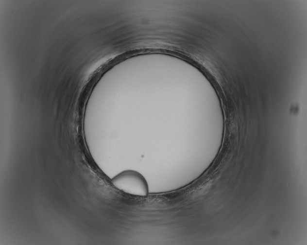 X0000090410979200708031038