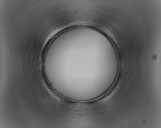 X0000090410981200708031038