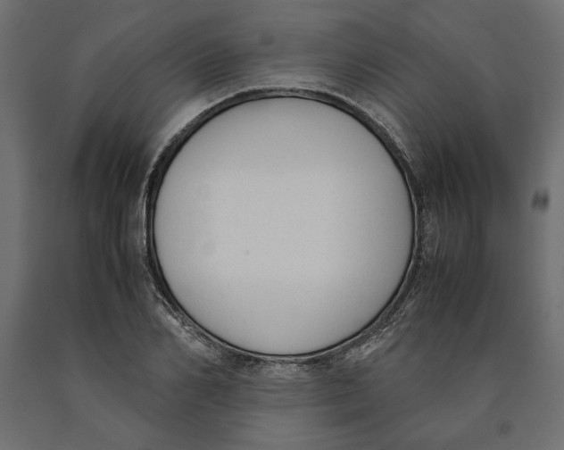 X0000090410982200708031038