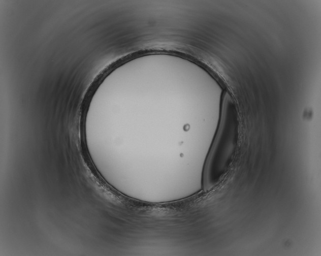 X0000090410984200708031038