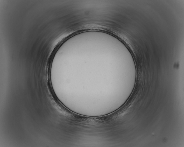 X0000090410987200708031038
