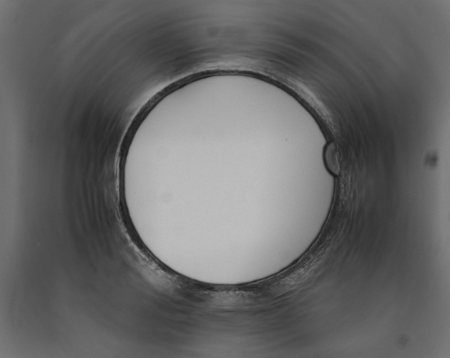 X0000090410988200708031038